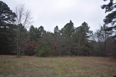 010-11219-038 Swiss Alps Ln, Briarcliff, AR 72653 - photo 5