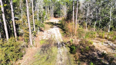 182 Smith Rd, Apalachicola, FL 32320 - photo 5