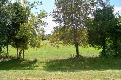 10104 Landwood Dr, Louisville, KY 40291 - photo 6