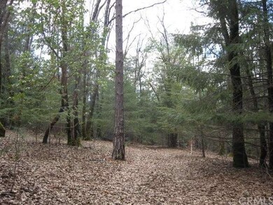 View of the access road.