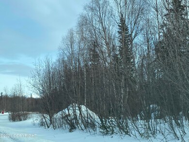 IMG_1582