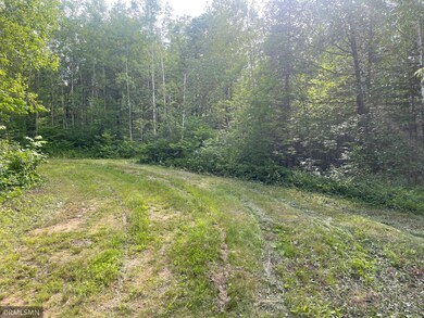 31069 Duluth Missabe and Iron, Greenway Township, MN 55775 - photo 5