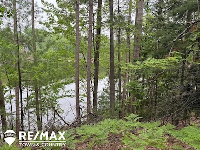 6450 Otter Trail, Alger, MI 48610 - photo 4