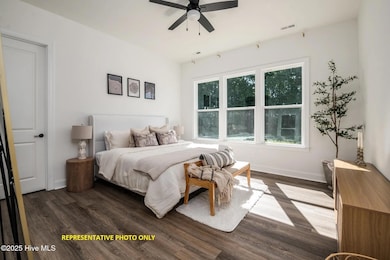 1717 Dixon Grove Ln, Grimesland, NC 27837 - photo 5