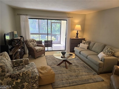 6142 Whiskey Creek Dr unit 603, Fort Myers, FL 33919 - photo 6