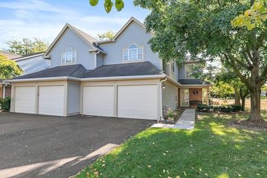 133 White Branch Ct S unit 539, Schaumburg, IL 60194 - photo 2