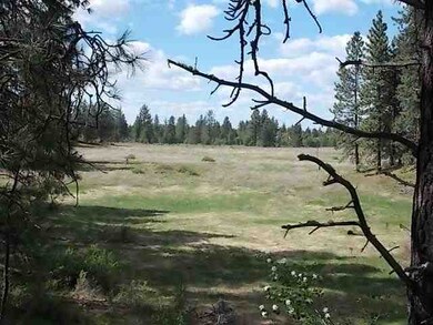0 N Old Trails Rd unit 201317106, Spokane, WA 99224 - photo 3