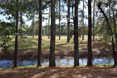 View of water feature