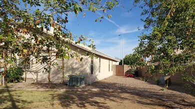 backyard2