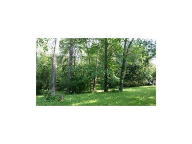lot picture