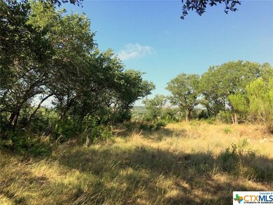 631 Angelica Vista, Canyon Lake, TX 78133 - photo 2