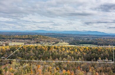 Outline of all 67 acres