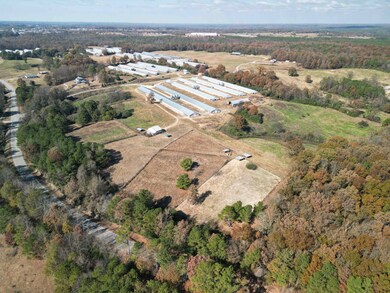 0 Cowbranch Rd, Hackleburg, AL 35564 - photo 6