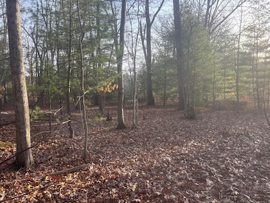 0 Maple Rd, Beckley, WV 25801 - photo 5