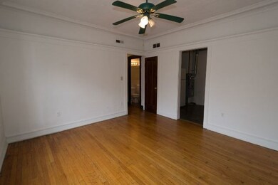 3958 N Janssen Ave unit 1N, Chicago, IL 60613 - photo 7