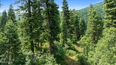 1722067331773_1722022519140dji0866