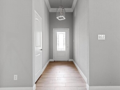 305 Jean Ct, Springtown, TX 76082 - photo 4