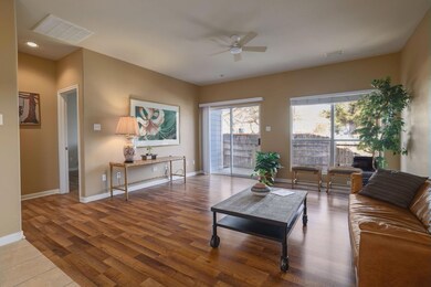 Living room featuring a ceiling fan, wood finishe