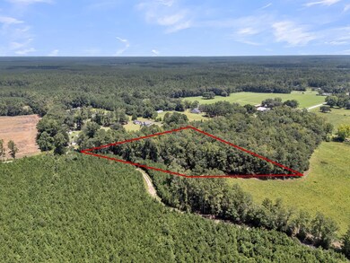 0 Cypress Campground Rd unit 25020685, Ridgeville, SC 29472 - photo 5