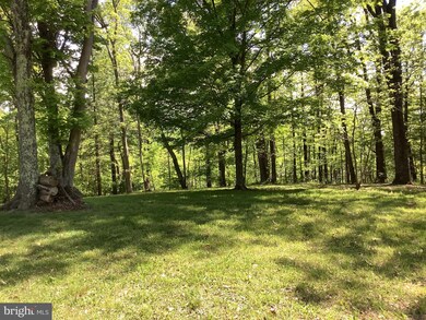 2166 Burnt Mill Rd, Berkeley Springs, WV 25411 - photo 5