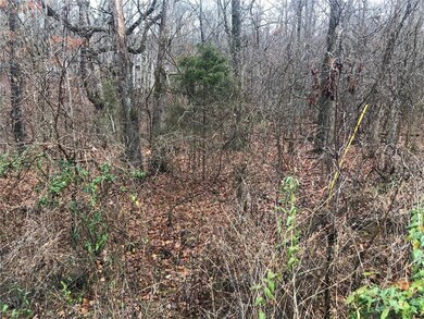 Looking at lot from the street.