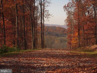 3413 Flint Hill Rd, Adamstown, MD 21710 - photo 7