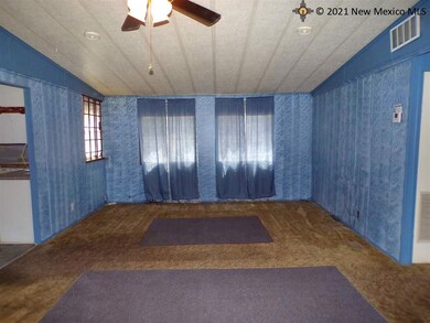 4406 Mescalero St, Carlsbad, NM 88220 - photo 4