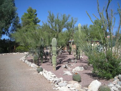 Front Landscaping #2
