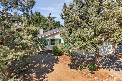 2025_09_05_2739_ne_cordata_Dr-30