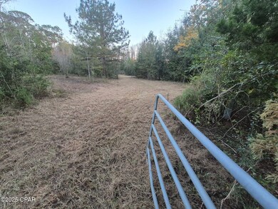 000 Windy Lewis Rd, Bonifay, FL 32425 - photo 2