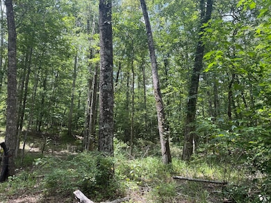 0 County Road 51, Greensboro, AL 36744 - photo 3