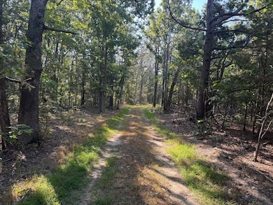 22019 State Highway K, Falcon, MO 65470 - photo 3