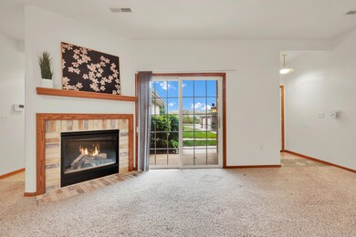 Patio Doors