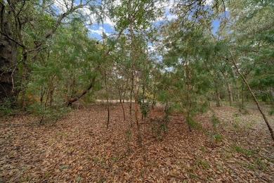 6100 County Road 214, Keystone Heights, FL 32656 - photo 4