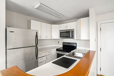 533 Columbus Ave unit 12, Boston, MA 02118 - photo 5