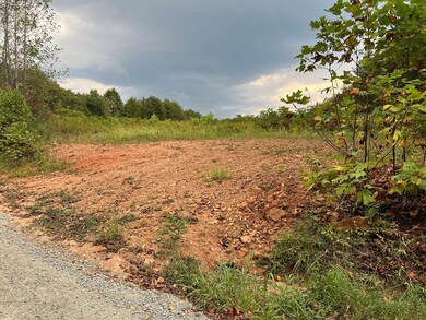 42.9 AC Brandon Rd, Chatham, VA 24531 - photo 3
