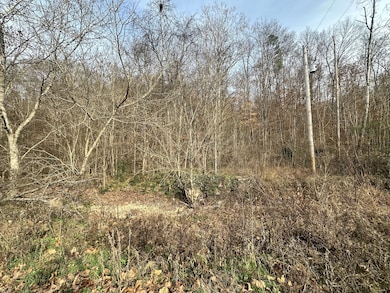 210 Trotter Rd, Waverly, TN 37185 - photo 4