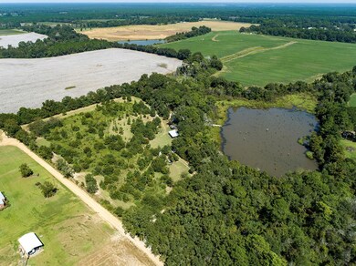 156 Union Ln, Doerun, GA 31744 - photo 3