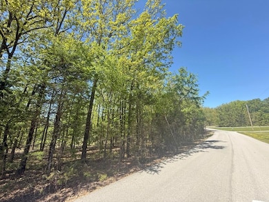 0 River Ridge unit 25-233, Rosie, AR 72571 - photo 7