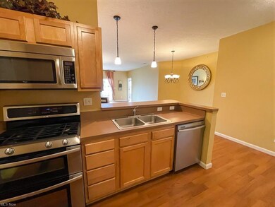 716 Aqua Marine Blvd, Avon Lake, OH 44012 - photo 3