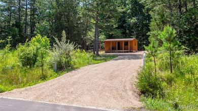 View of dirt / gravel driveway