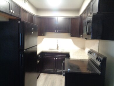 9729 Ridgeland Ave unit 102, Oak Lawn, IL 60453 - photo 6