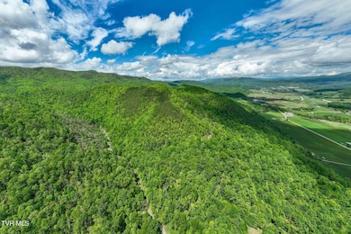 TBD Fire Tower Road (9 of 22)