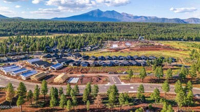 Timber Sky Aerial (1)