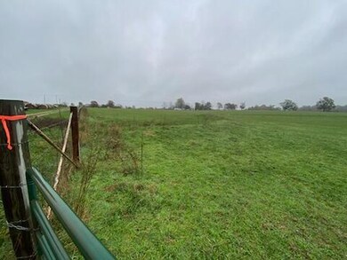 000 Farm Road 2000, Aurora, MO 65605 - photo 4