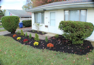 Lovely flowers & bushes!