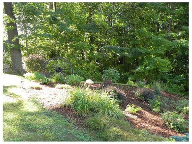 Yard/Garden.