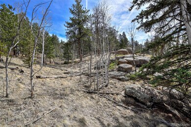 926 W Bison Creek Trail, Divide, CO 80814 - photo 7