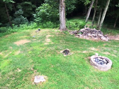 Back Yard and Burn Pit Area