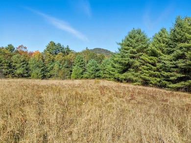 115 Adams Farm Rd, Thornton, NH 03285 - photo 5